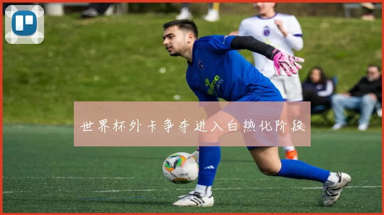 世界杯外卡争夺进入白热化阶段