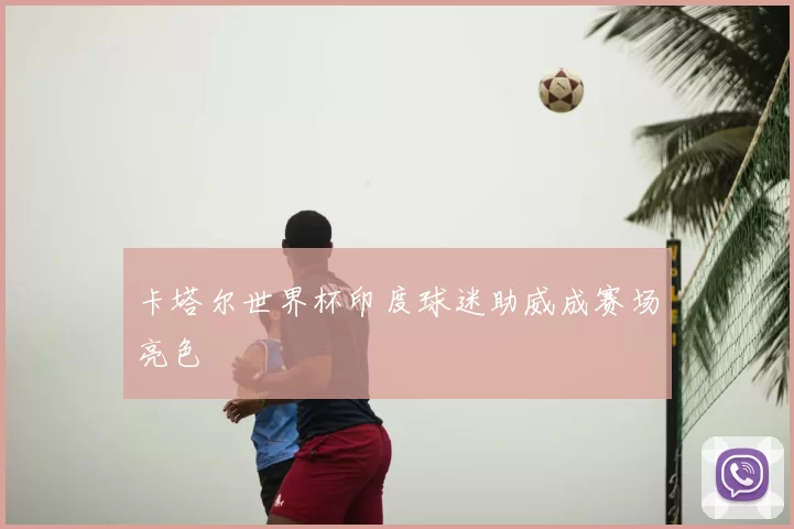 卡塔尔世界杯印度球迷助威成赛场亮色