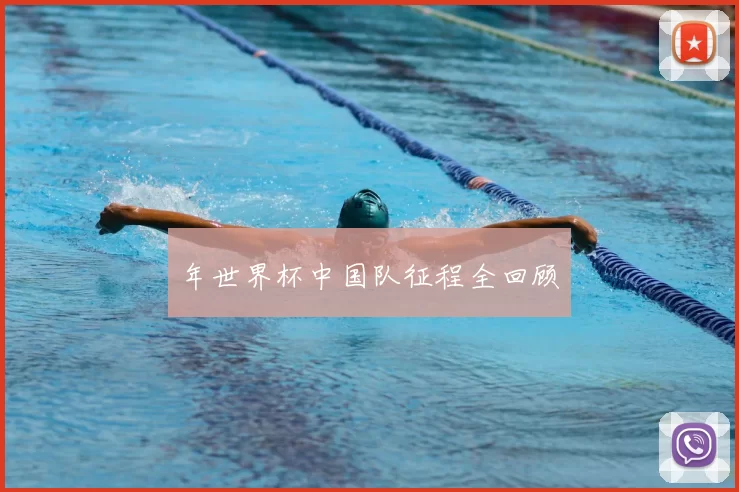 年世界杯中国队征程全回顾