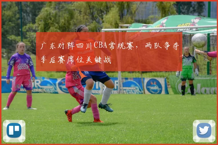 广东对阵四川CBA常规赛，两队争夺季后赛席位关键战