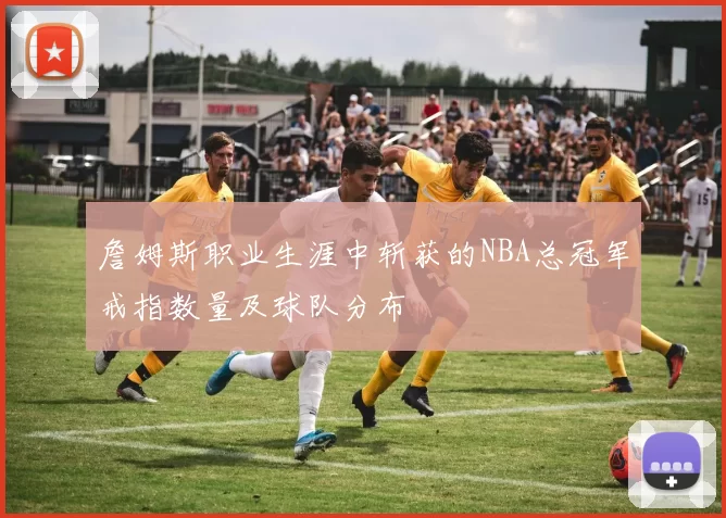 詹姆斯职业生涯中斩获的NBA总冠军戒指数量及球队分布