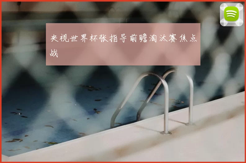 央视世界杯张指导前瞻淘汰赛焦点战