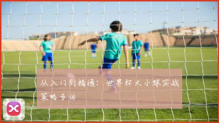 从入门到精通：世界杯大小球实战策略专访
