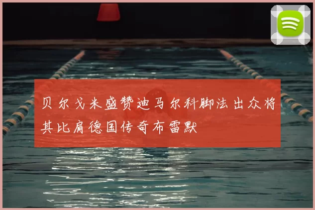 贝尔戈米盛赞迪马尔科脚法出众将其比肩德国传奇布雷默