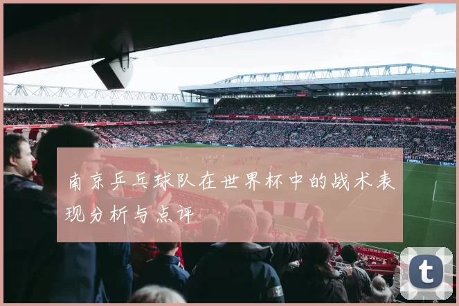 南京乒乓球队在世界杯中的战术表现分析与点评