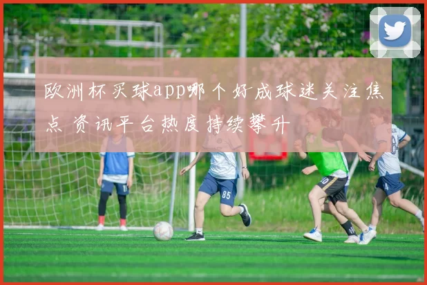 欧洲杯买球app哪个好成球迷关注焦点 资讯平台热度持续攀升