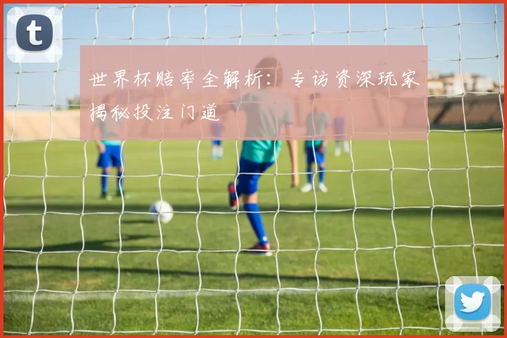 世界杯赔率全解析:专访资深玩家揭秘投注门道