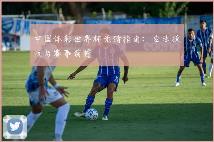 中国体彩世界杯竞猜指南:合法投注与赛事前瞻