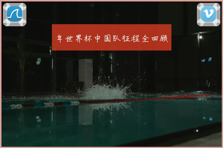 年世界杯中国队征程全回顾