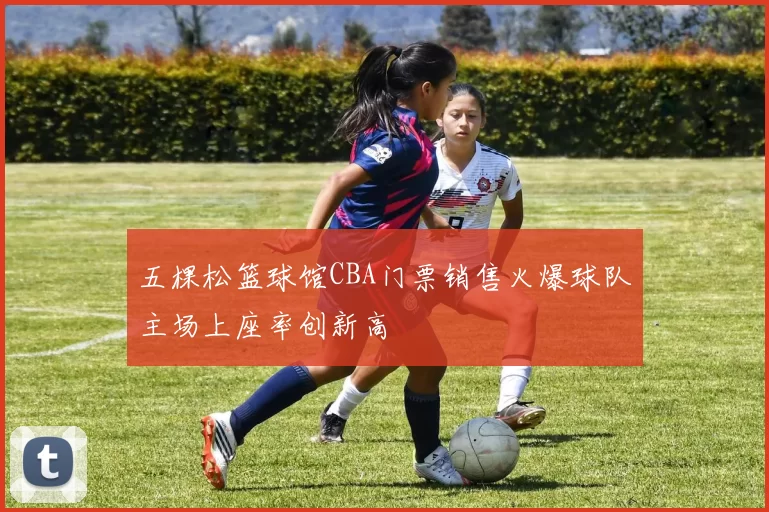 五棵松篮球馆CBA门票销售火爆球队主场上座率创新高